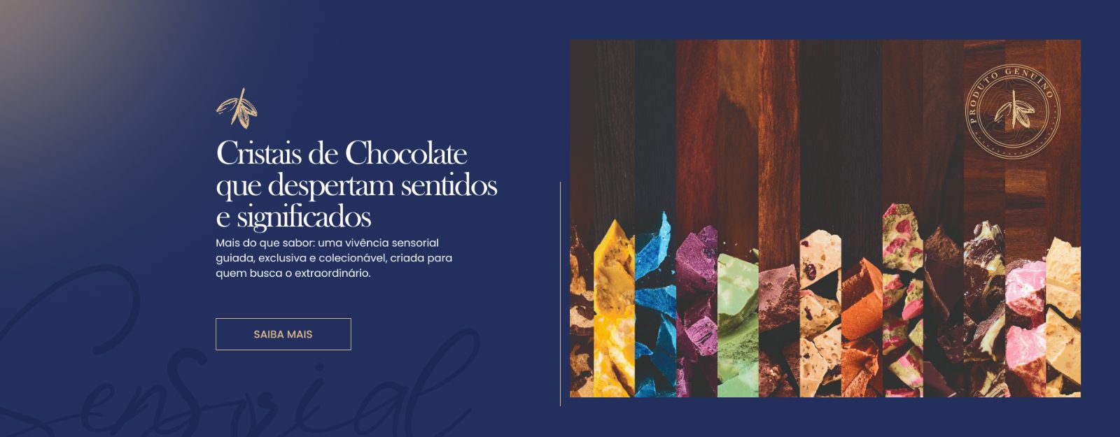 Banner hero · variação 02